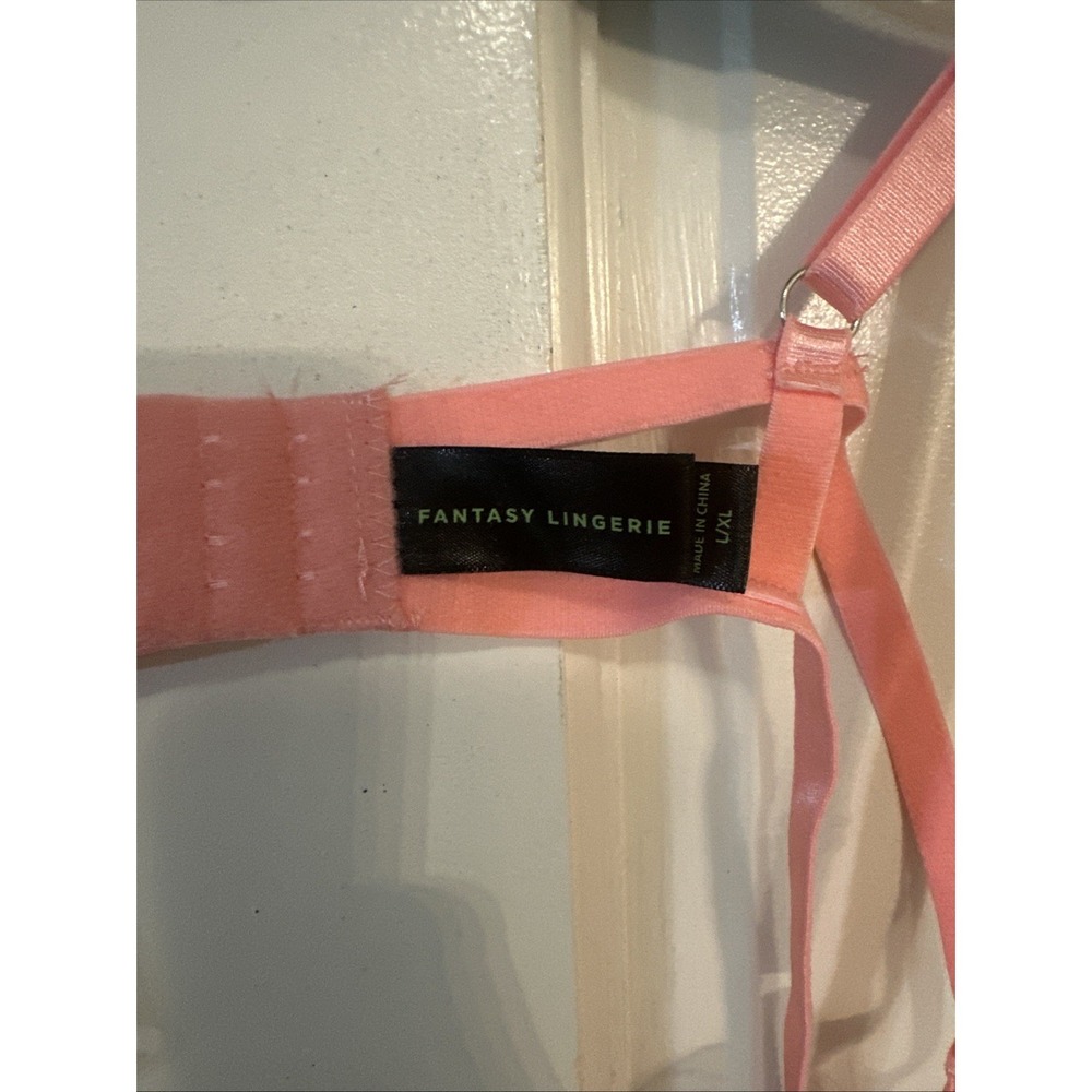 Fantasy Lingerie NWT GLOW CUTOUT TEDDY W/ROSE EMBROIDERY‎ PEACH L/XL - Picture 3 of 8